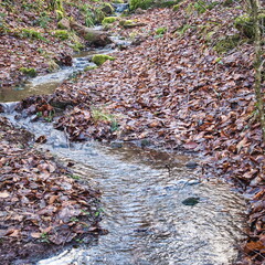 20220205202149-0ce24e3d